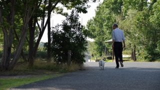 犬をノーリードで散歩させるのは事故やトラブルのもと　ドッグランや訓練所の活用を！