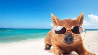 屋外での熱中症対策は水分補給のタイミングと塩分の取り方がポイント!